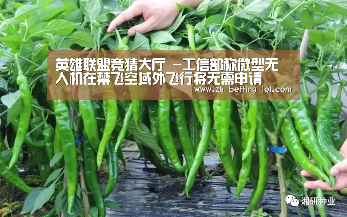 英雄联盟竞猜大厅 -工信部称微型无人机在禁飞空域外飞行将无需申请(图2) LOL全球总决赛下注官方网站