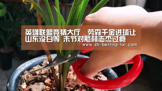 英雄联盟竞猜大厅 _劳森千金进球让山东没白等 末节对飚林志杰过瘾(图1) 英雄联盟竞猜大厅